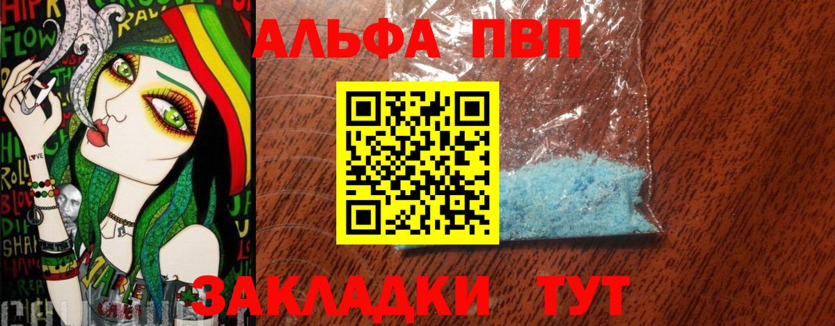 Альфа ПВП СК Курчатов