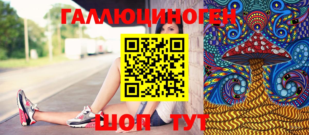 купить наркотики цена  Вход с VPN  Псилоцибиновые грибы Magic Shrooms  Курчатов  Галлюциногенные грибы GOLDEN TEACHER 