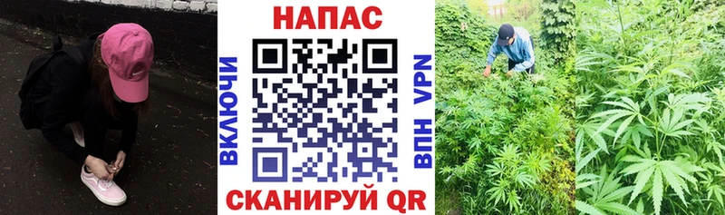 Канабис марихуана Курчатов